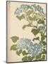 'Hydrangea', 1838-Ikeda Eisen-Mounted Giclee Print