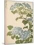 'Hydrangea', 1838-Ikeda Eisen-Mounted Giclee Print