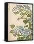 'Hydrangea', 1838-Ikeda Eisen-Framed Stretched Canvas