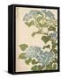 'Hydrangea', 1838-Ikeda Eisen-Framed Stretched Canvas