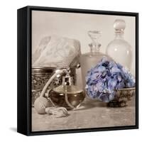 Hydrangea and Atomizer-Julie Greenwood-Framed Stretched Canvas