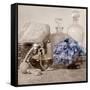 Hydrangea and Atomizer-Julie Greenwood-Framed Stretched Canvas