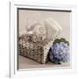 Hydrangea and Basket 2-Julie Greenwood-Framed Art Print