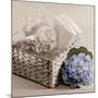 Hydrangea and Basket 2-Julie Greenwood-Mounted Art Print