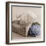 Hydrangea and Basket 2-Julie Greenwood-Framed Premium Giclee Print