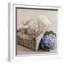 Hydrangea and Basket 2-Julie Greenwood-Framed Premium Giclee Print