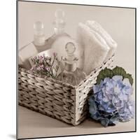 Hydrangea and Basket 2-Julie Greenwood-Mounted Art Print