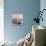 Hydrangea and Basket 2-Julie Greenwood-Premium Giclee Print displayed on a wall