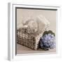 Hydrangea and Basket 2-Julie Greenwood-Framed Premium Giclee Print