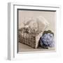 Hydrangea and Basket 2-Julie Greenwood-Framed Art Print