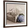 Hydrangea and Basket 2-Julie Greenwood-Framed Art Print