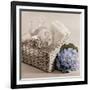 Hydrangea and Basket 2-Julie Greenwood-Framed Art Print