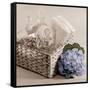 Hydrangea and Basket 2-Julie Greenwood-Framed Stretched Canvas