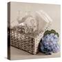 Hydrangea and Basket 2-Julie Greenwood-Stretched Canvas