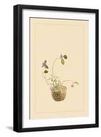 Hydrangea and Daisy-Sofu Teshigahara-Framed Art Print