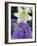 Hydrangea and Easter Lily, Cincinatti, Ohio, USA-Adam Jones-Framed Photographic Print