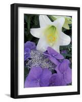 Hydrangea and Easter Lily, Cincinatti, Ohio, USA-Adam Jones-Framed Photographic Print