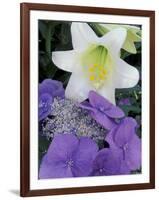 Hydrangea and Easter Lily, Cincinatti, Ohio, USA-Adam Jones-Framed Photographic Print