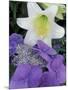 Hydrangea and Easter Lily, Cincinatti, Ohio, USA-Adam Jones-Mounted Photographic Print