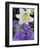 Hydrangea and Easter Lily, Cincinatti, Ohio, USA-Adam Jones-Framed Premium Photographic Print