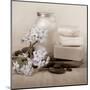 Hydrangea and Soap-Julie Greenwood-Mounted Art Print