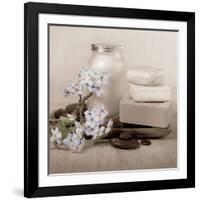 Hydrangea and Soap-Julie Greenwood-Framed Art Print