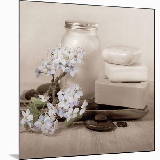 Hydrangea and Soap-Julie Greenwood-Mounted Art Print