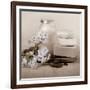 Hydrangea and Soap-Julie Greenwood-Framed Art Print