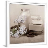 Hydrangea and Soap-Julie Greenwood-Framed Premium Giclee Print