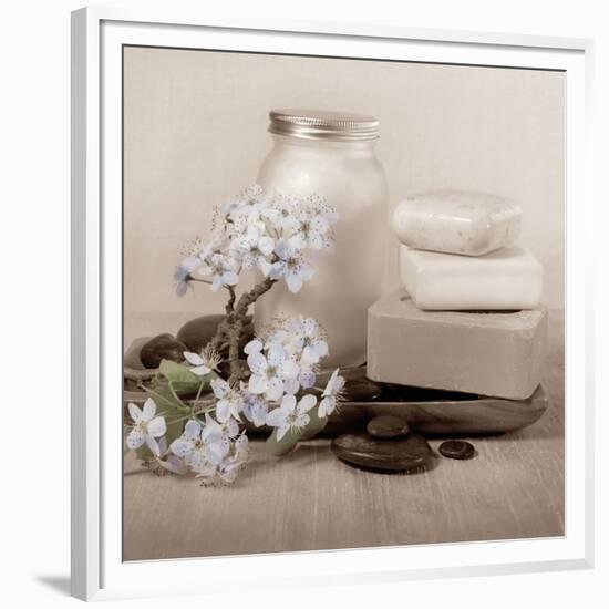 Hydrangea and Soap-Julie Greenwood-Framed Premium Giclee Print