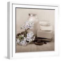 Hydrangea and Soap-Julie Greenwood-Framed Art Print