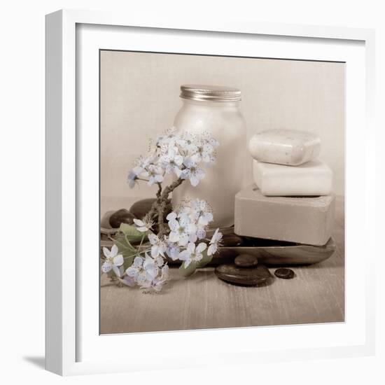 Hydrangea and Soap-Julie Greenwood-Framed Art Print