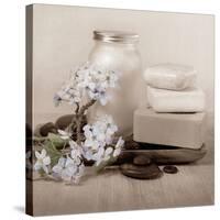 Hydrangea and Soap-Julie Greenwood-Stretched Canvas