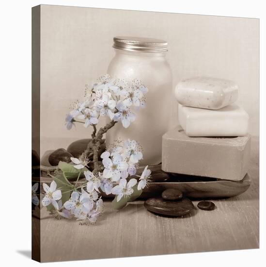 Hydrangea and Soap-Julie Greenwood-Stretched Canvas