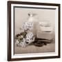 Hydrangea and Soap-Julie Greenwood-Framed Art Print