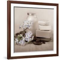 Hydrangea and Soap-Julie Greenwood-Framed Art Print