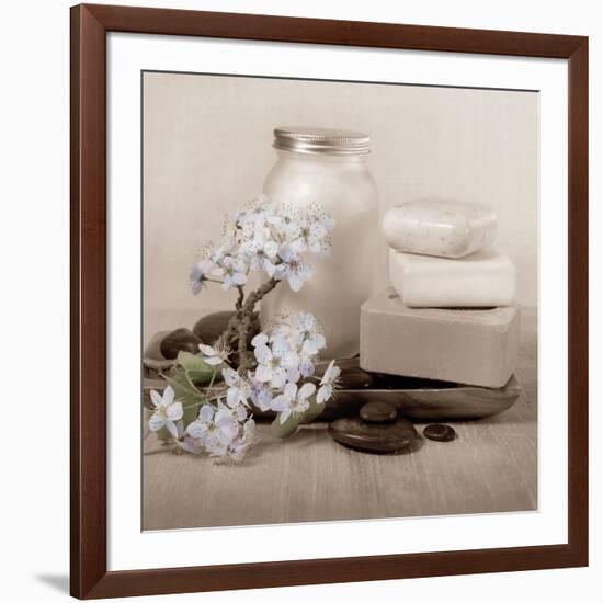 Hydrangea and Soap-Julie Greenwood-Framed Art Print