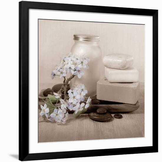 Hydrangea and Soap-Julie Greenwood-Framed Art Print