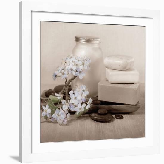 Hydrangea and Soap-Julie Greenwood-Framed Art Print