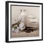 Hydrangea and Soap-Julie Greenwood-Framed Premium Giclee Print