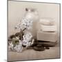 Hydrangea and Soap-Julie Greenwood-Mounted Premium Giclee Print