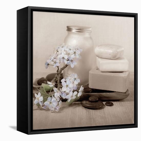 Hydrangea and Soap-Julie Greenwood-Framed Stretched Canvas