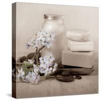 Hydrangea and Soap-Julie Greenwood-Stretched Canvas