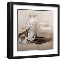 Hydrangea and Soap-Julie Greenwood-Framed Art Print