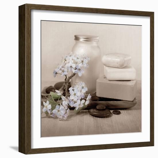 Hydrangea and Soap-Julie Greenwood-Framed Art Print