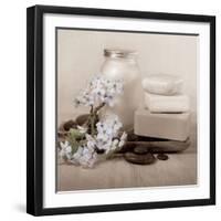 Hydrangea and Soap-Julie Greenwood-Framed Art Print