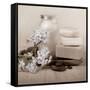 Hydrangea and Soap-Julie Greenwood-Framed Stretched Canvas