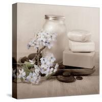 Hydrangea and Soap-Julie Greenwood-Stretched Canvas