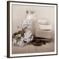 Hydrangea and Soap-Julie Greenwood-Framed Premium Giclee Print