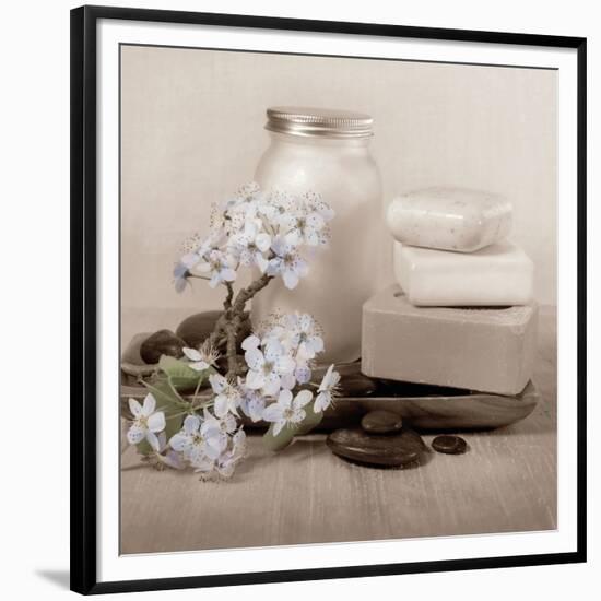 Hydrangea and Soap-Julie Greenwood-Framed Premium Giclee Print